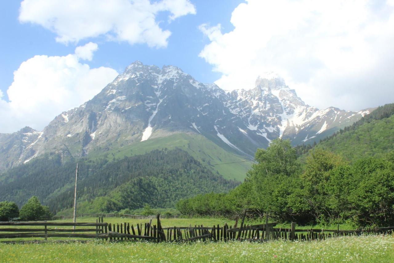 Guesthouse Daeli Mazeri Dış mekan fotoğraf